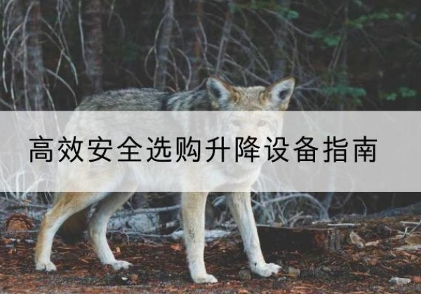 重庆升降货梯厂家推荐-*安全选购升降设备指南