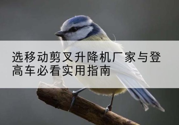 重庆电动升降机厂家-选移动剪叉升降机厂家与登高车必看实用指南